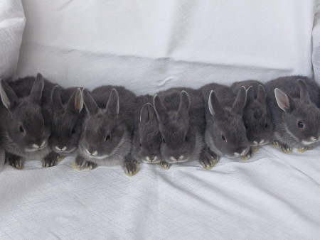 Vrh S28 - VOLNÍ 2 KLUCI K REZERVACÍM !!!